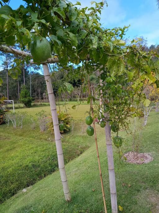 Sitio Paraiso Verde Juquitiba Esterno foto