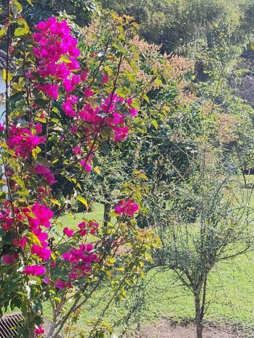 Sitio Paraiso Verde Juquitiba Esterno foto